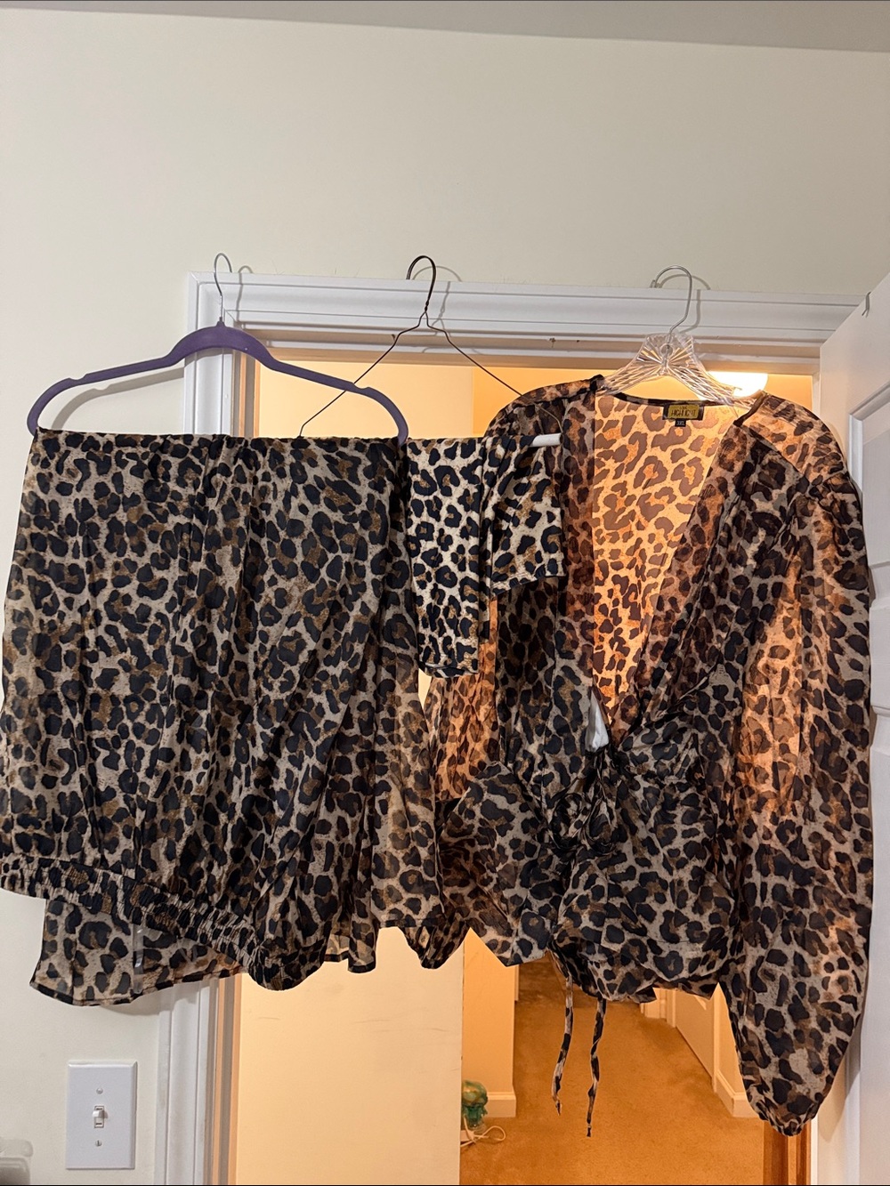Leopard Print Women's Sheer Blouse and pants Set - Brown/animal print